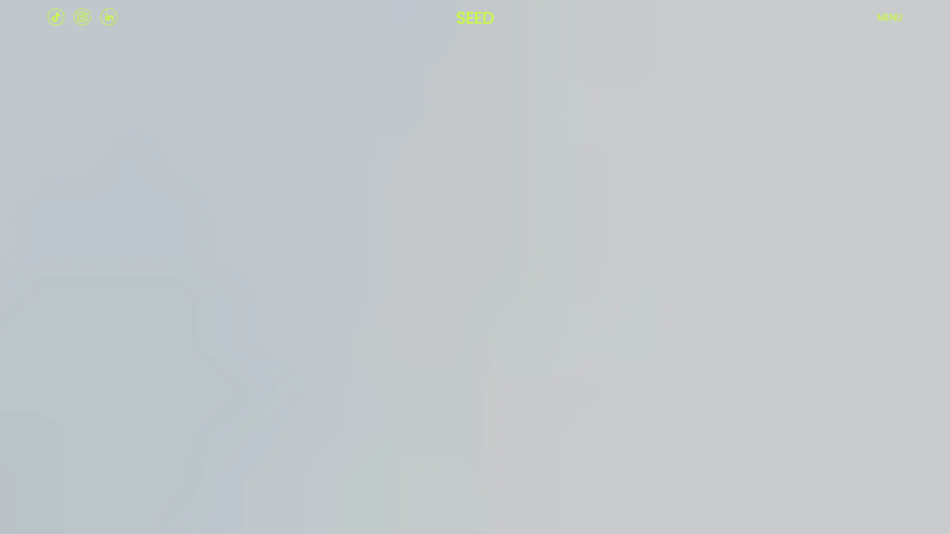 Seed Marketing website screenshot