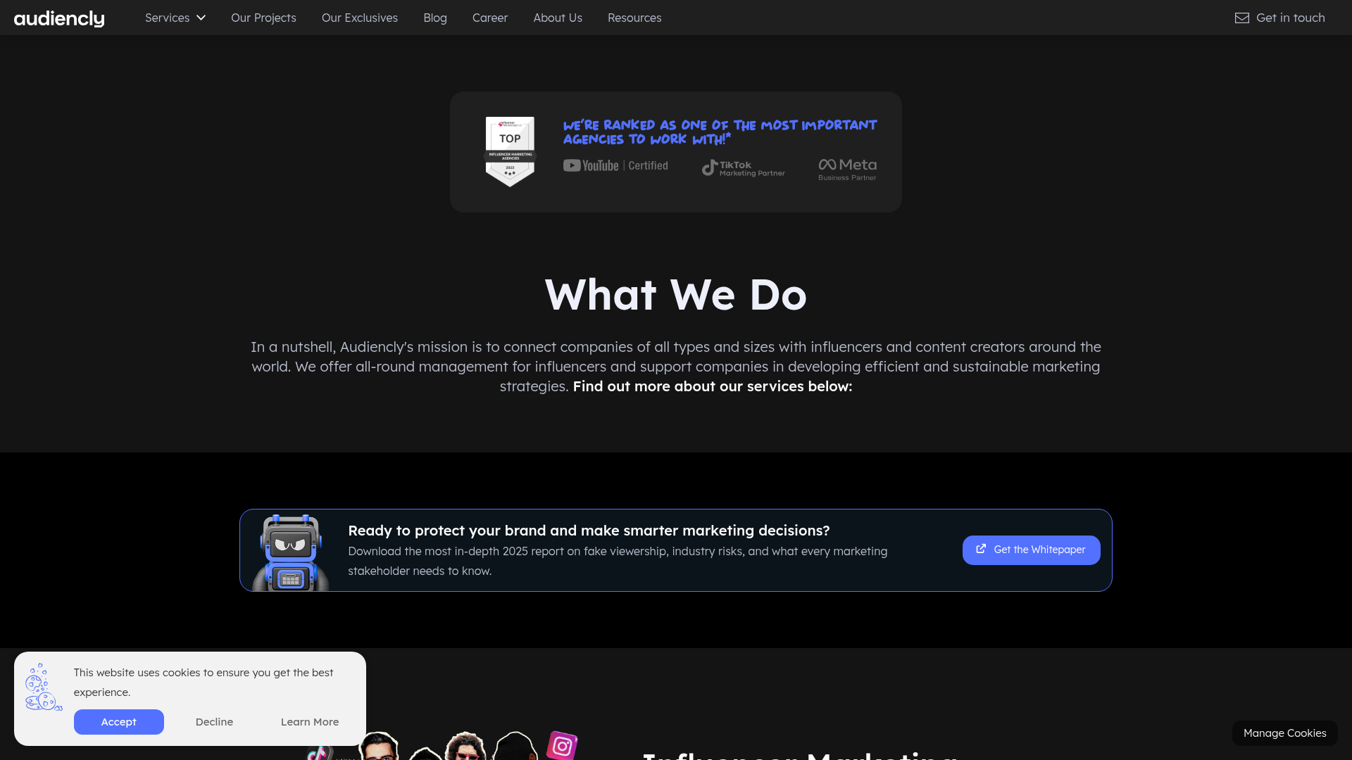 Audiencly website screenshot